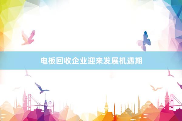电板回收企业迎来发展机遇期
